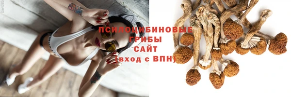 бошки Арсеньев