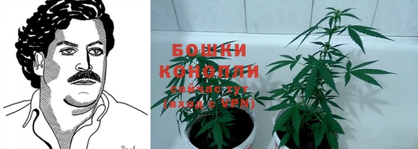 бошки Арсеньев