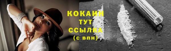 бошки Арсеньев