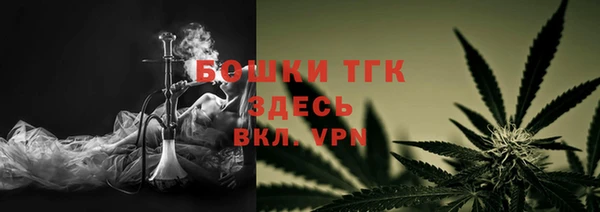трава Аркадак