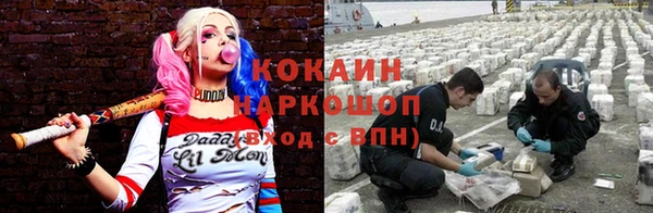 бошки Арсеньев