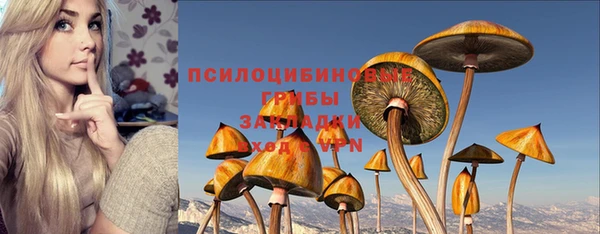 дмт Армянск